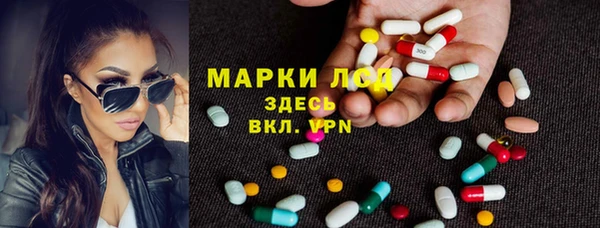 гидропоника Абаза