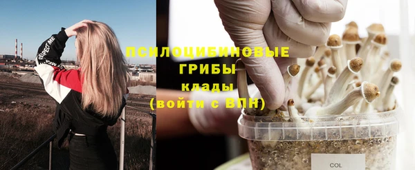 гидропоника Абаза